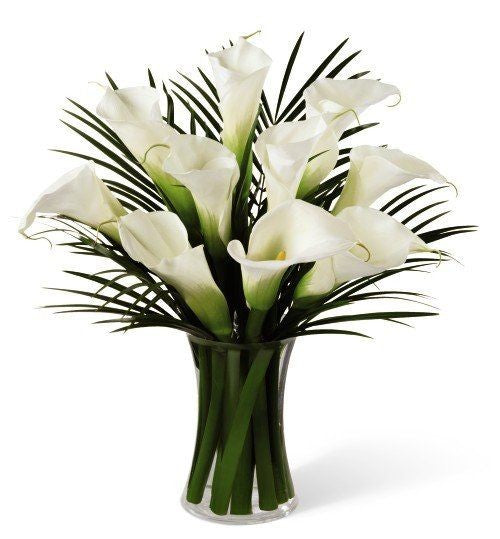 Calla Lily in Glass Vase