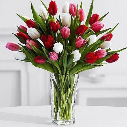 Mixed Tulips in Glass Vase